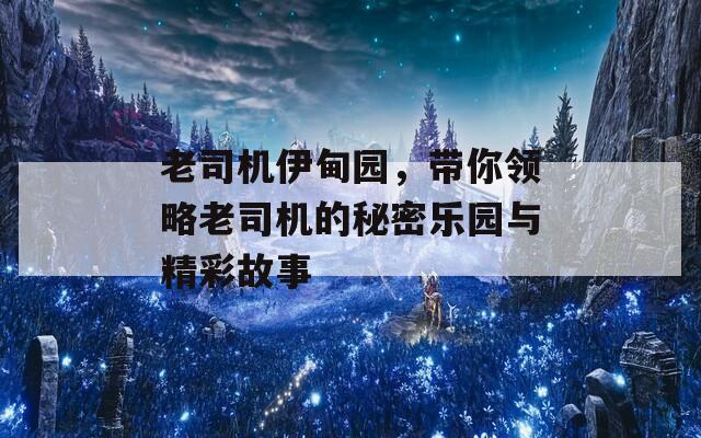 老司机伊甸园，带你领略老司机的秘密乐园与精彩故事