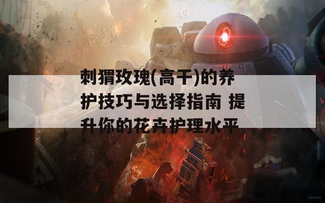 刺猬玫瑰(高干)的养护技巧与选择指南 提升你的花卉护理水平