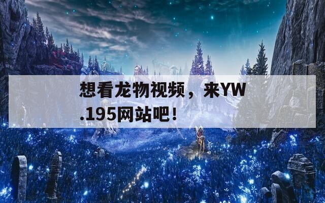 想看龙物视频，来YW.195网站吧！
