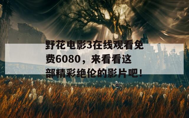野花电影3在线观看免费6080，来看看这部精彩绝伦的影片吧！