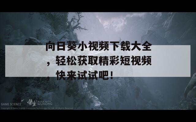 向日葵小视频下载大全，轻松获取精彩短视频，快来试试吧！