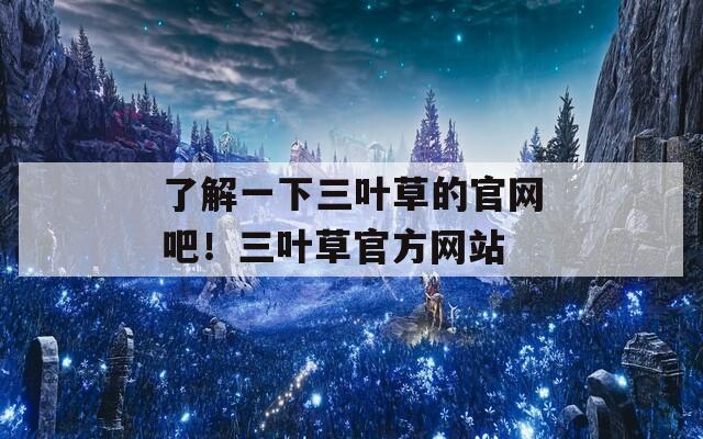 了解一下三叶草的官网吧！三叶草官方网站