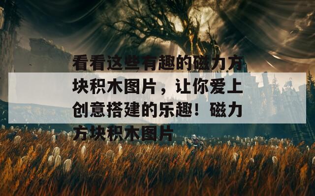 看看这些有趣的磁力方块积木图片，让你爱上创意搭建的乐趣！磁力方块积木图片