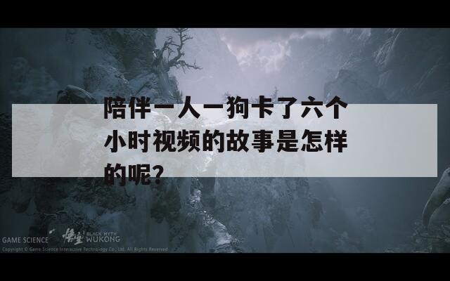 陪伴一人一狗卡了六个小时视频的故事是怎样的呢？
