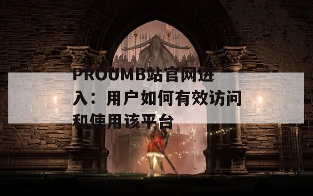 PROUMB站官网进入：用户如何有效访问和使用该平台