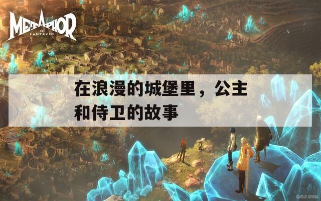 在浪漫的城堡里，公主和侍卫的故事