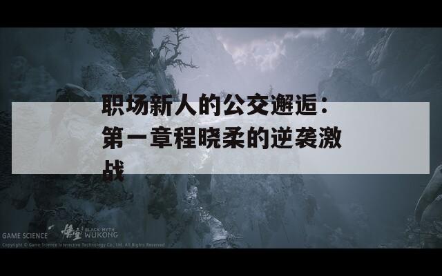 职场新人的公交邂逅：第一章程晓柔的逆袭激战