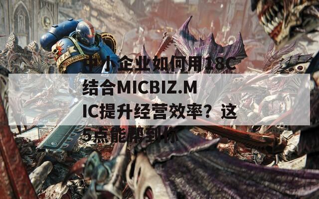 中小企业如何用18C结合MICBIZ.MIC提升经营效率？这5点能帮到你