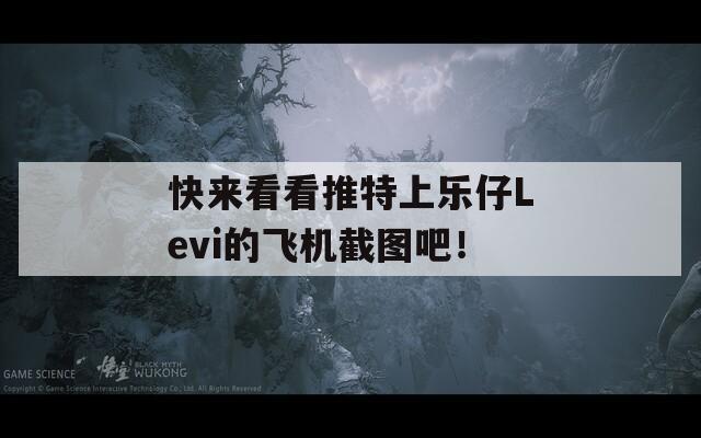 快来看看推特上乐仔Levi的飞机截图吧！