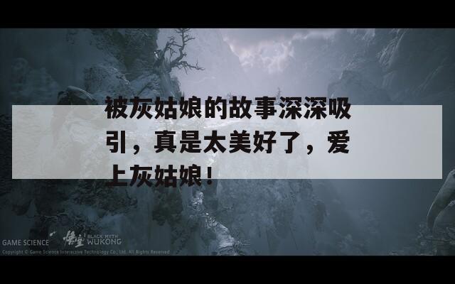 被灰姑娘的故事深深吸引，真是太美好了，爱上灰姑娘！