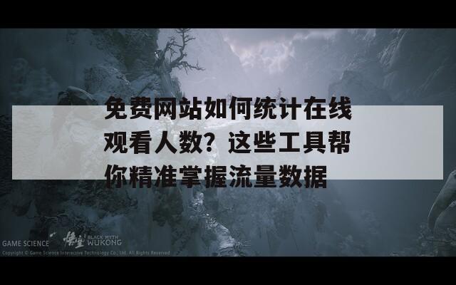 免费网站如何统计在线观看人数？这些工具帮你精准掌握流量数据