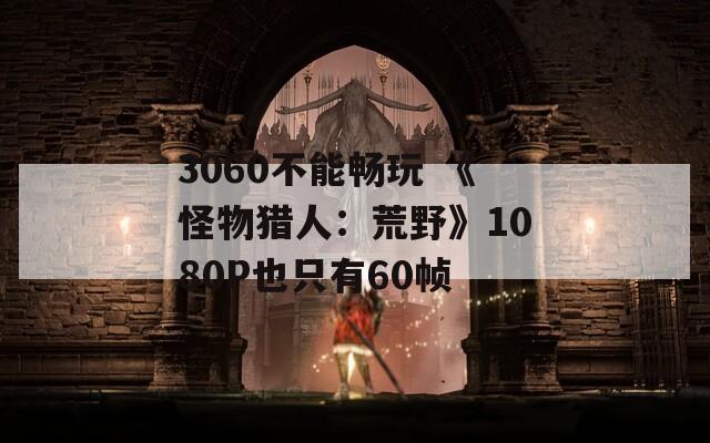 3060不能畅玩 《怪物猎人：荒野》1080P也只有60帧