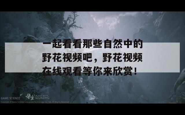一起看看那些自然中的野花视频吧，野花视频在线观看等你来欣赏！
