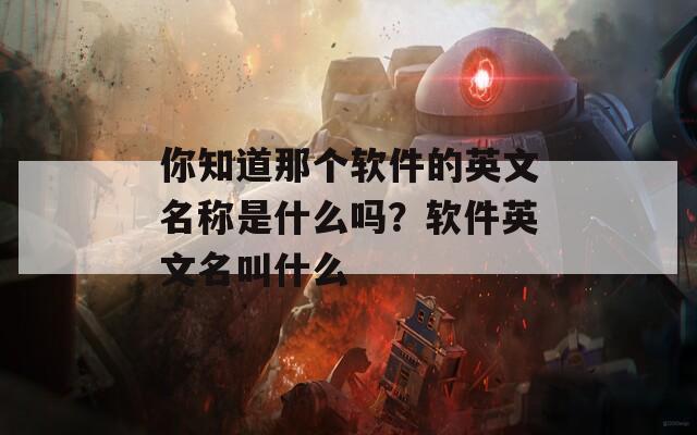 你知道那个软件的英文名称是什么吗？软件英文名叫什么
