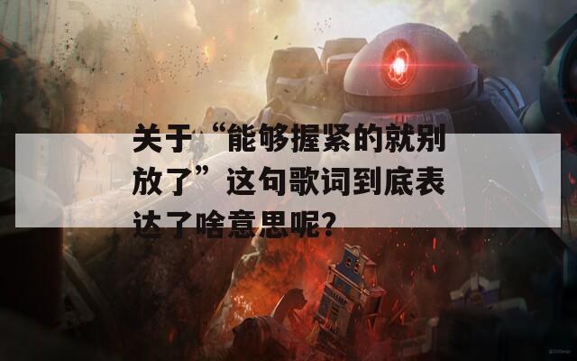 关于“能够握紧的就别放了”这句歌词到底表达了啥意思呢？