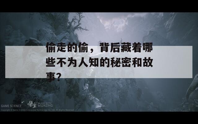 偷走的偷，背后藏着哪些不为人知的秘密和故事？