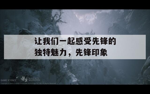 让我们一起感受先锋的独特魅力，先锋印象