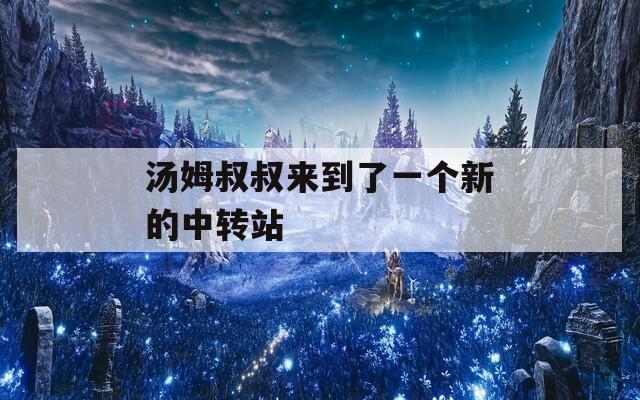 汤姆叔叔来到了一个新的中转站