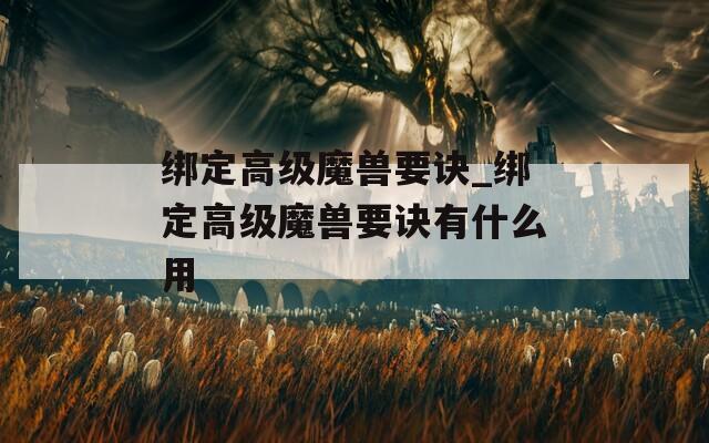绑定高级魔兽要诀_绑定高级魔兽要诀有什么用