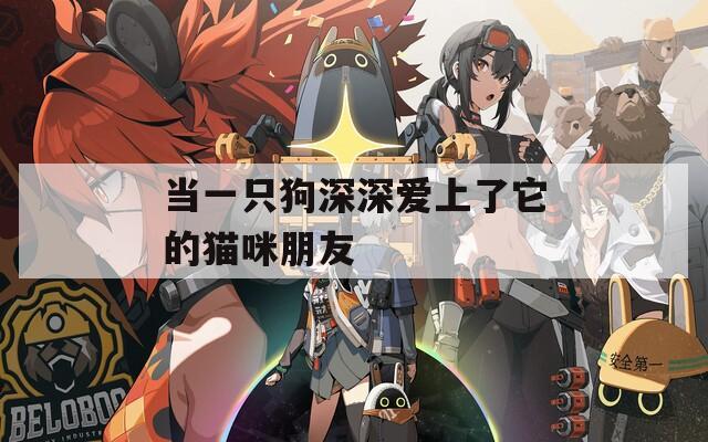 当一只狗深深爱上了它的猫咪朋友